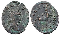 Gallienus
                    APOLLINI CONS AVG Rome 163